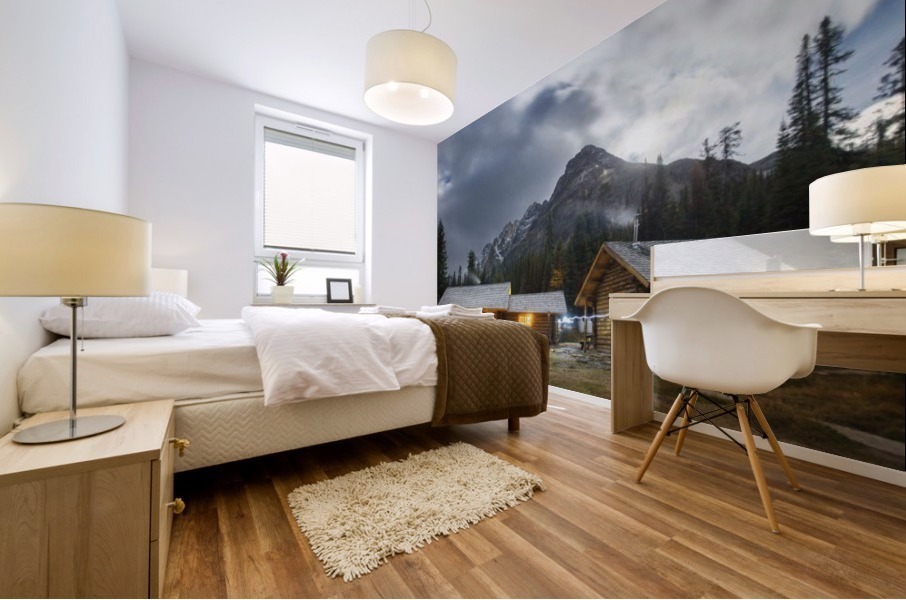 Dream night Mural print