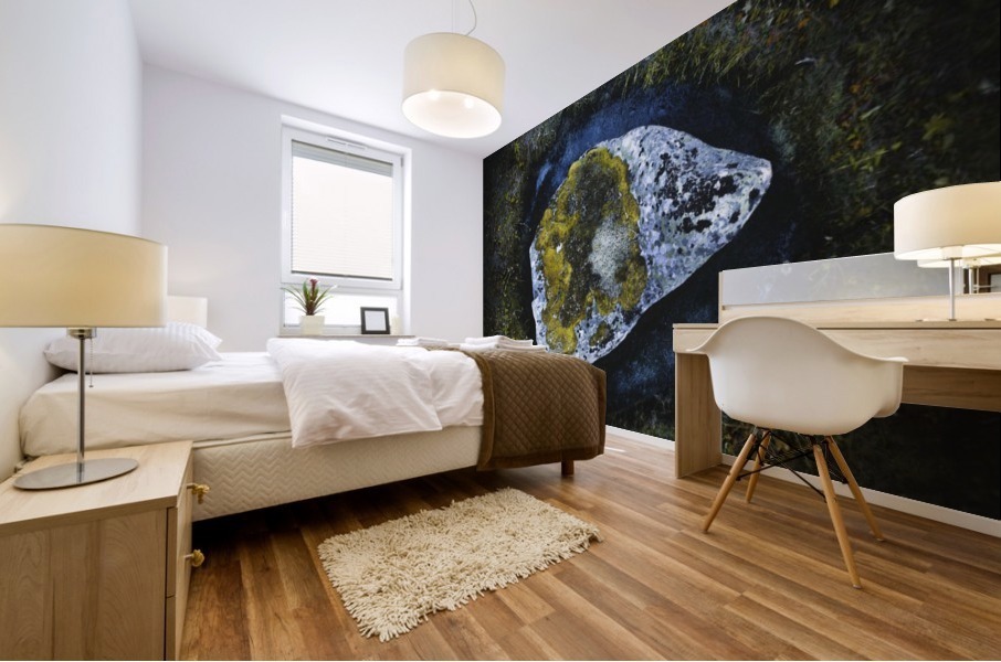 Flying stone Mural print