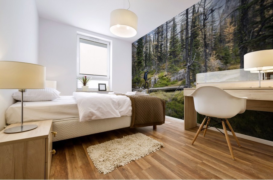 Forest and the trail Mural print