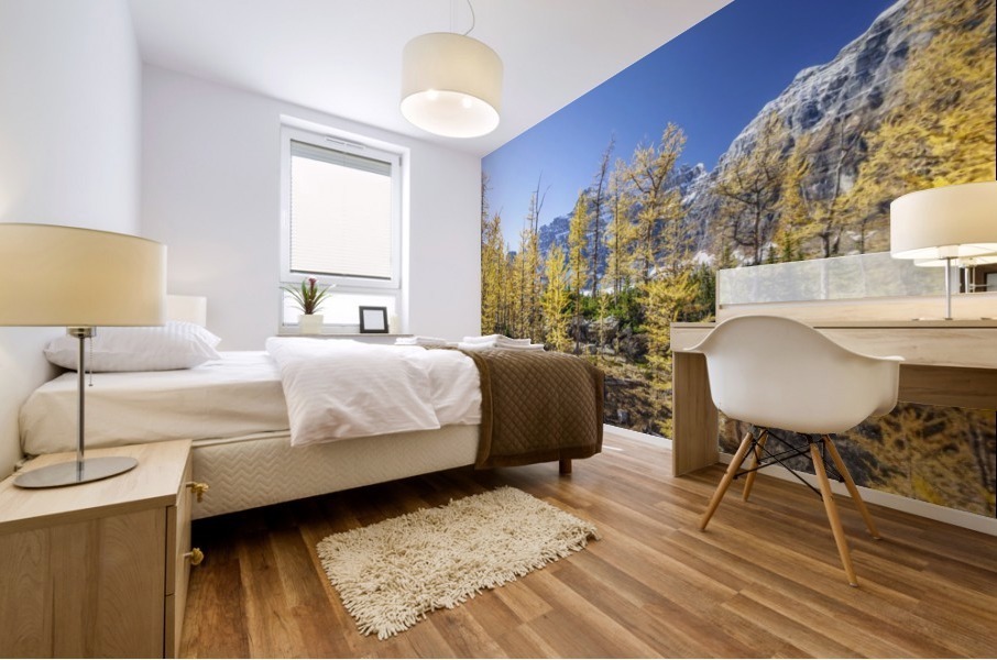 Larch hill Mural print