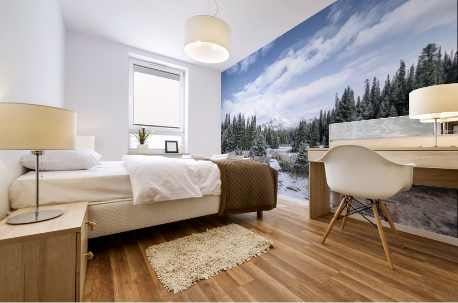 Step out Mural print