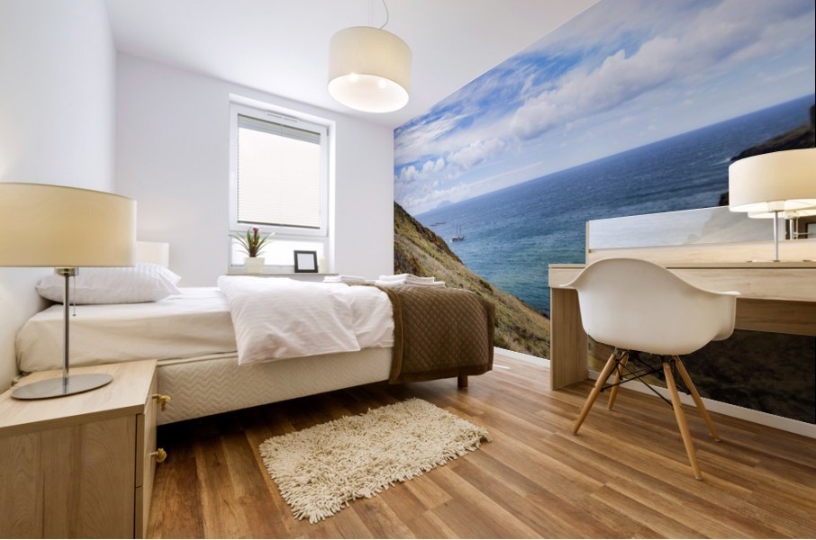 Ship and ocean Mural print