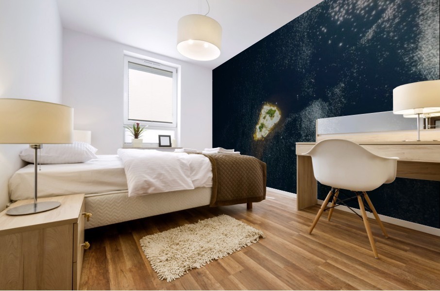 Bird island Mural print