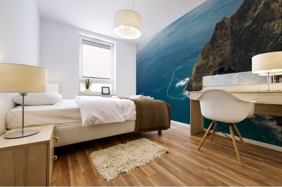 North coast   Mural print