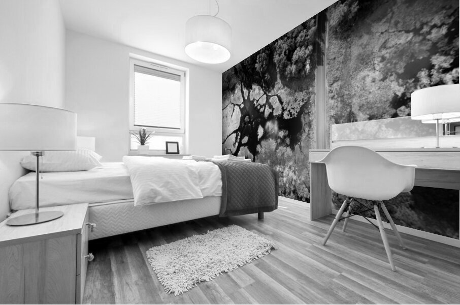 Beyond the imaginable  Mural print