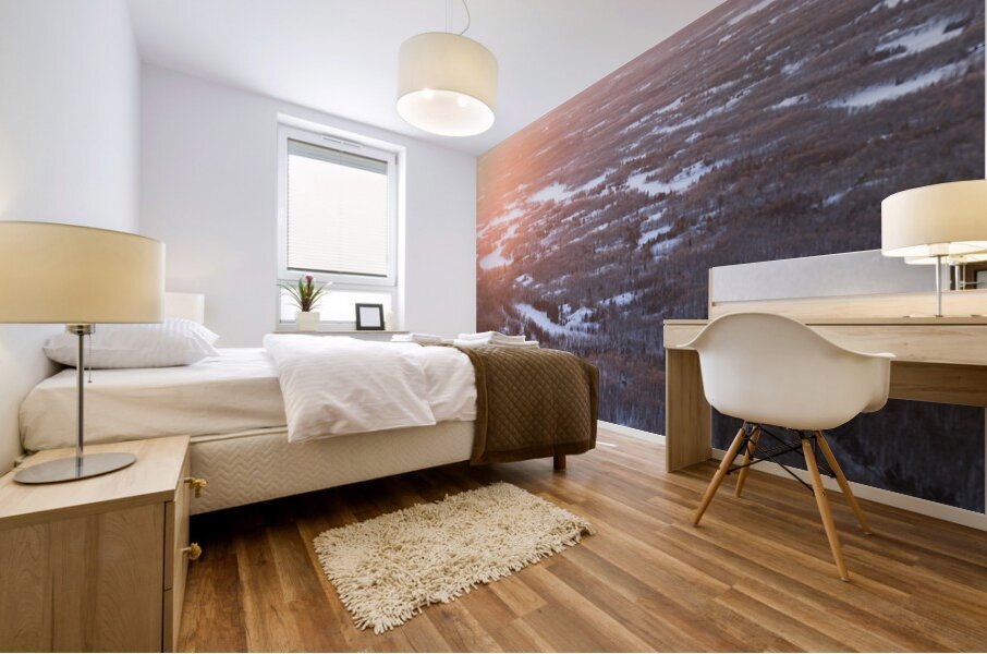 Morning glow Mural print
