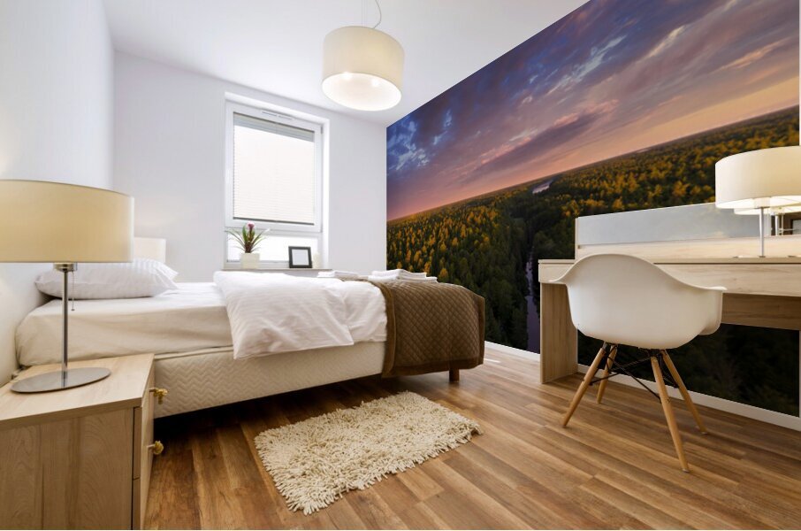 NEW AGE Mural print