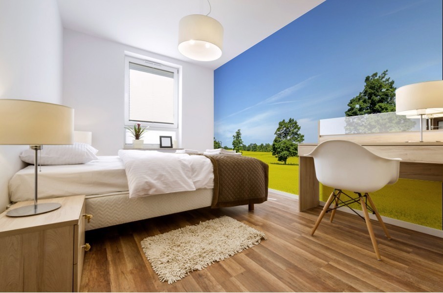Lines and order  Mural print