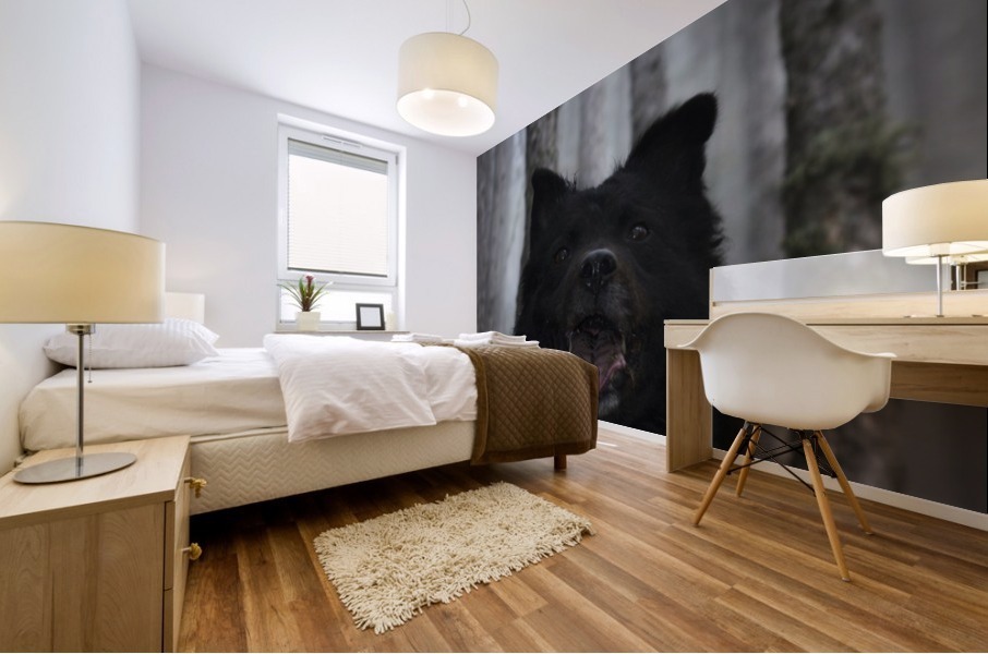 Home in forest  Mural print