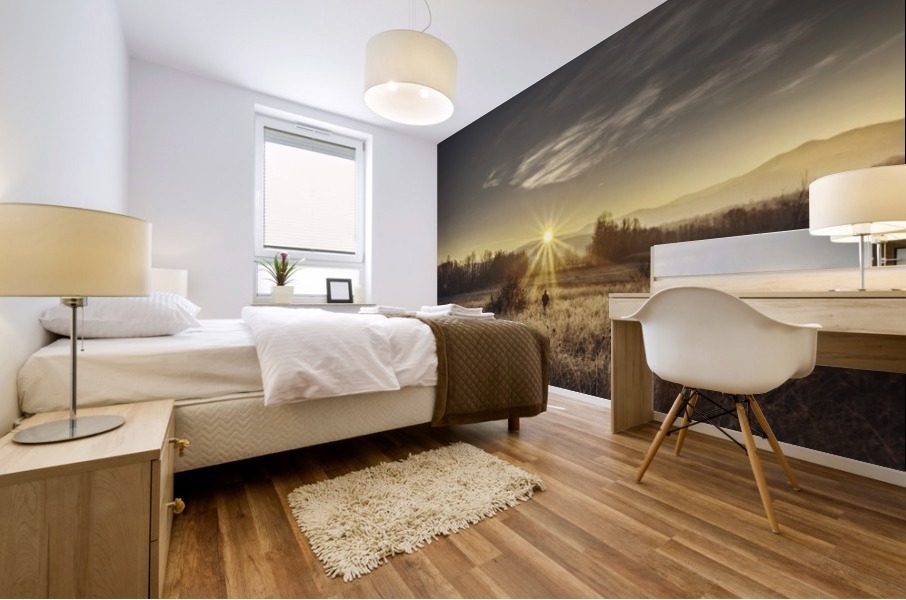Zen morning Mural print