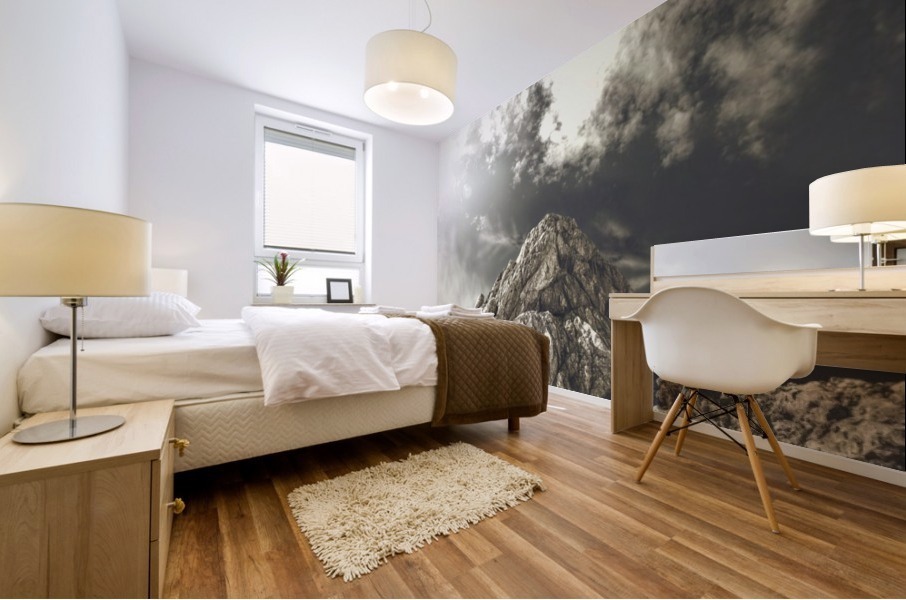 Love at first sight Mural print