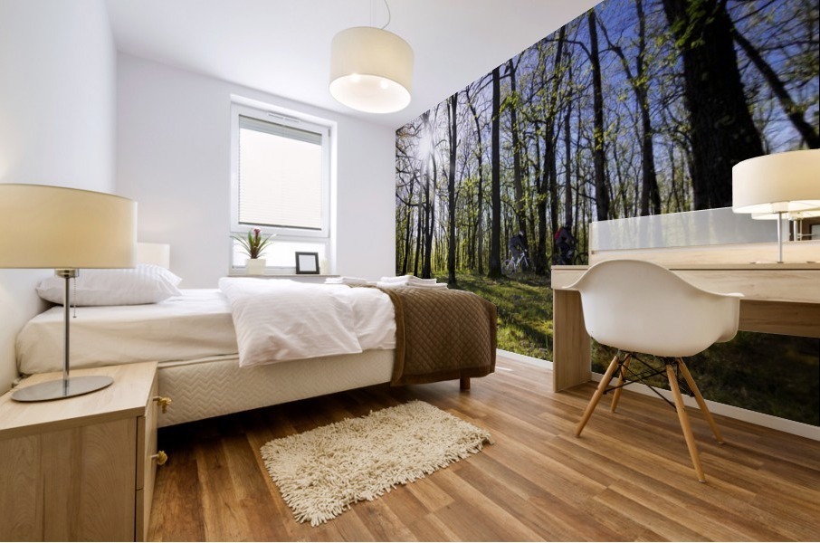 Idyllic ride Mural print