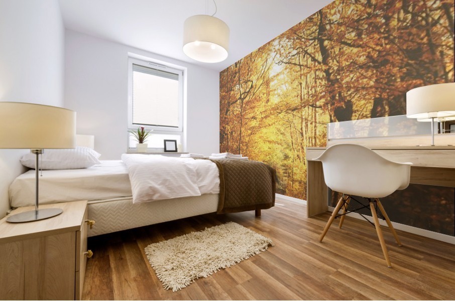 Autumn road Mural print
