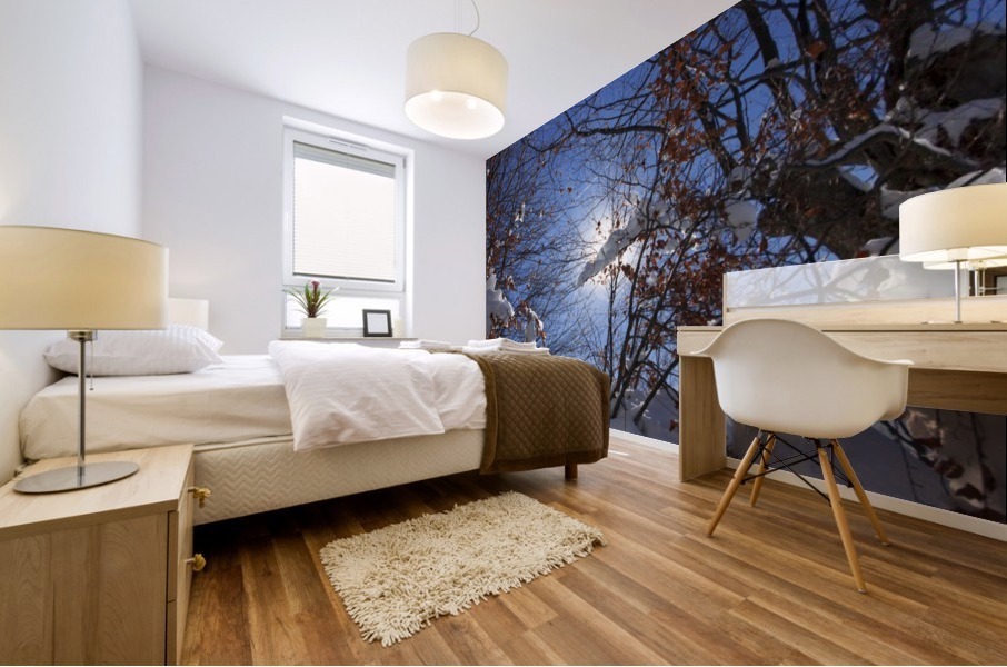 Winter sun Mural print