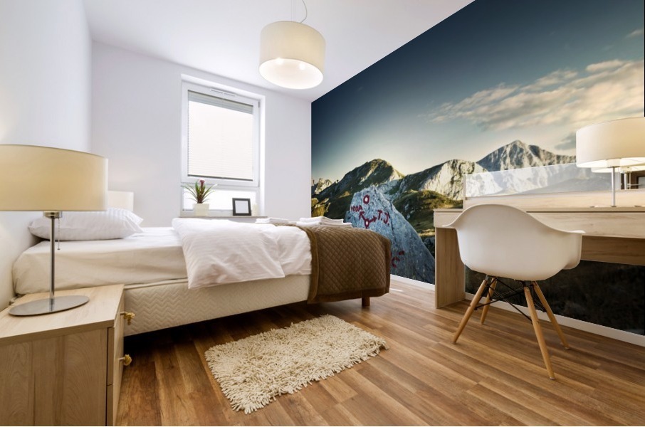 Rock on trail Mural print