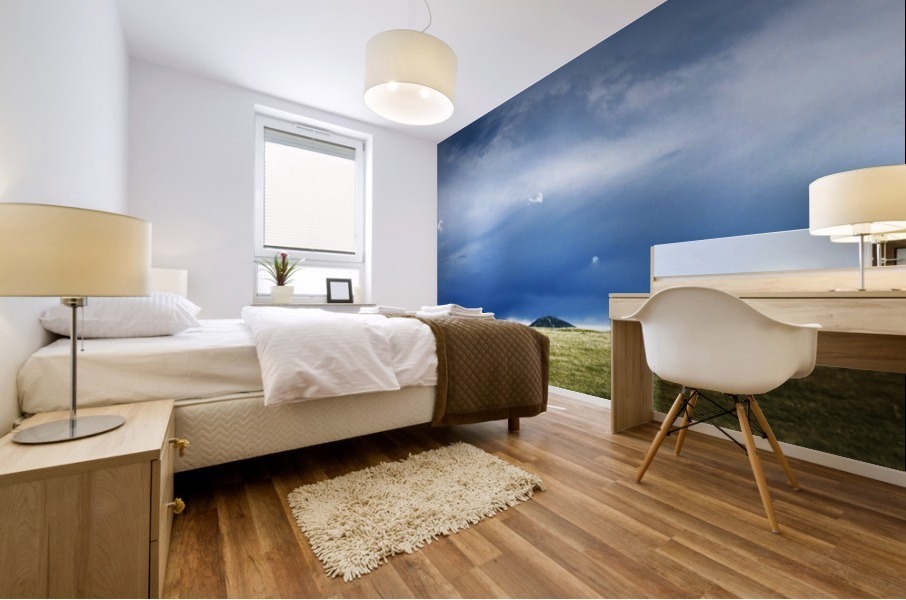 Playground  Mural print