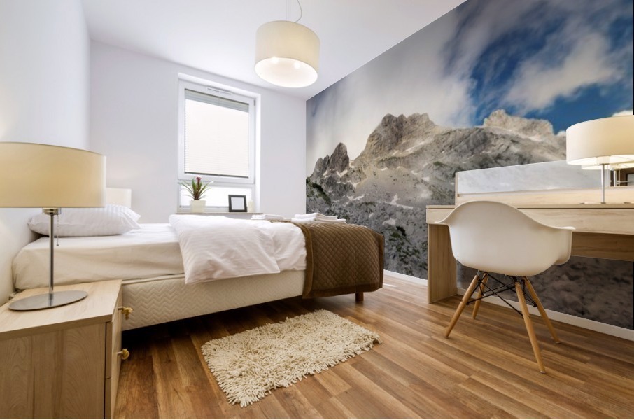Mighty Durmitor Mural print