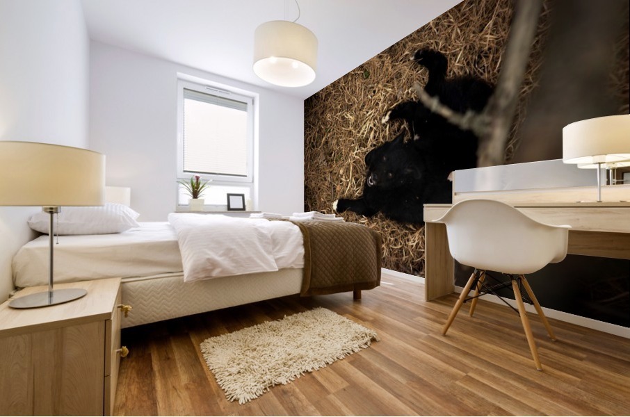 In a Dragons Nest Mural print