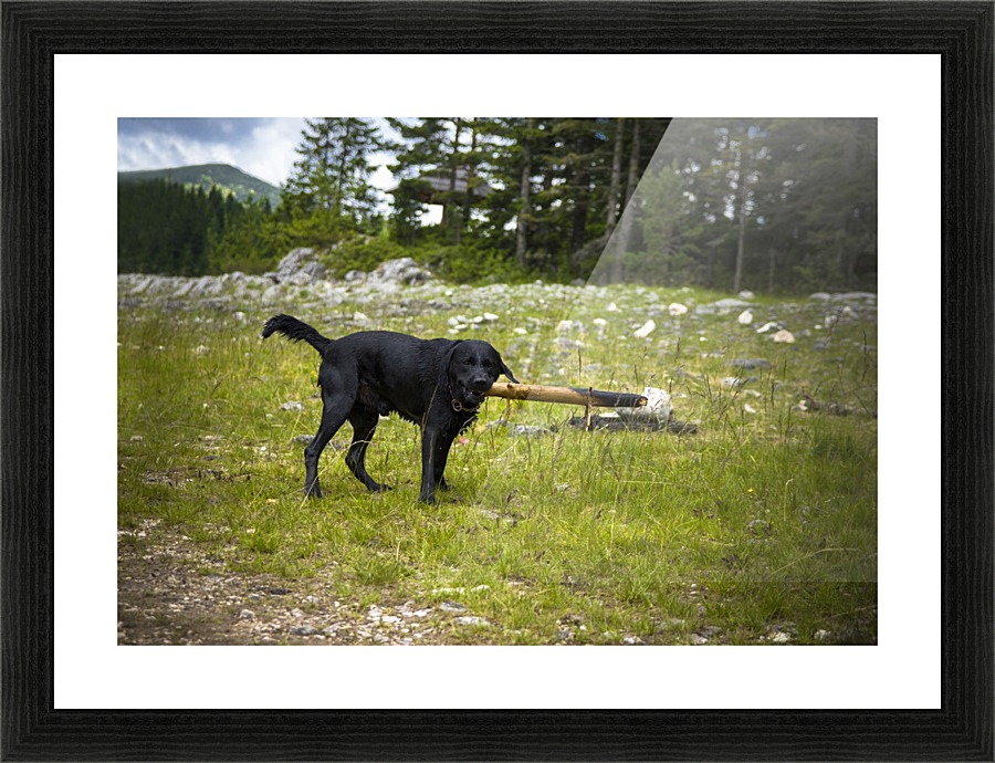 Smoker   Picture Frame print