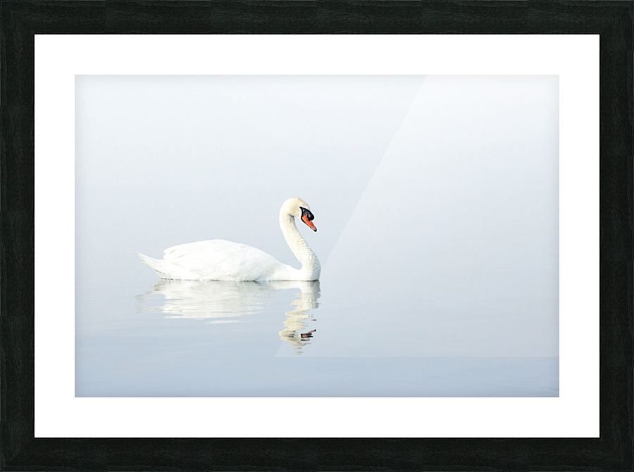 Elegance Picture Frame print