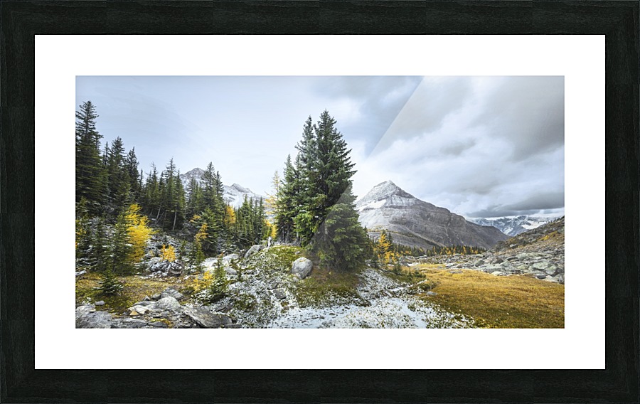 In Nature Picture Frame print