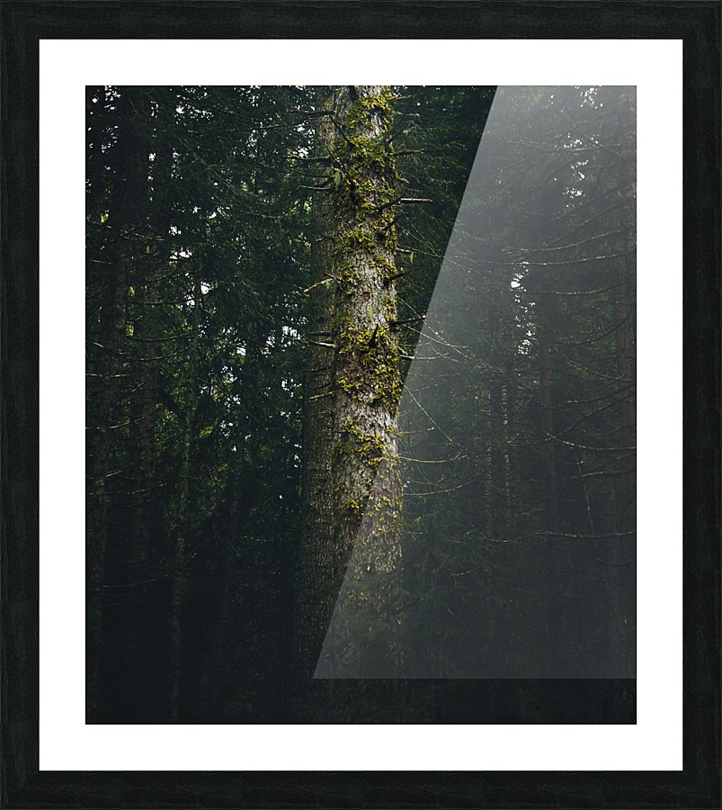 Standing Impression et Cadre photo