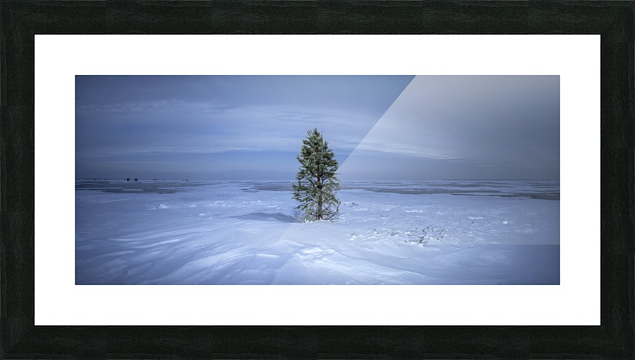No roots Picture Frame print