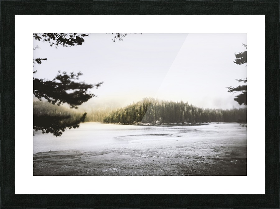 Spark  Picture Frame print