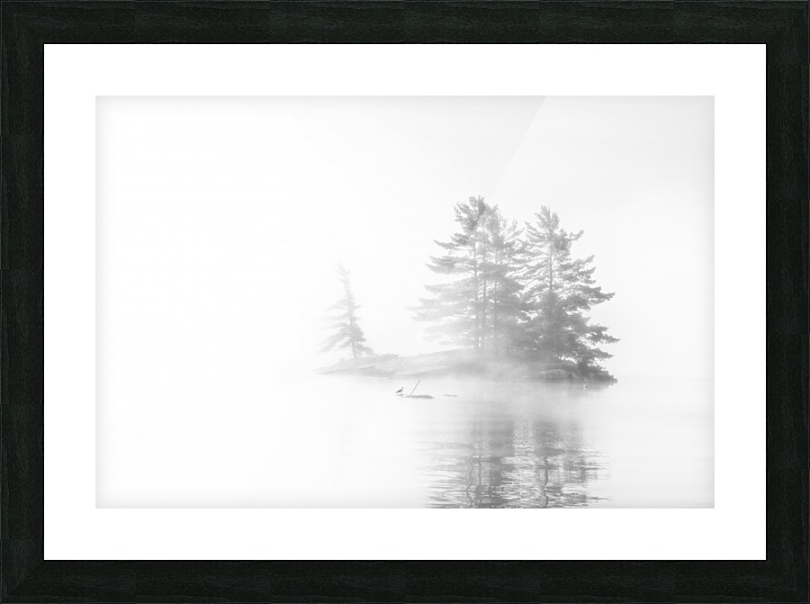 Bird island Picture Frame print