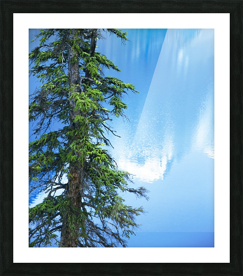 Natural order Picture Frame print