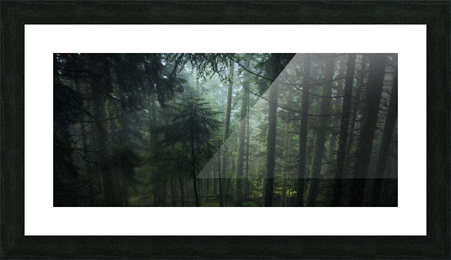Misty green  Picture Frame print
