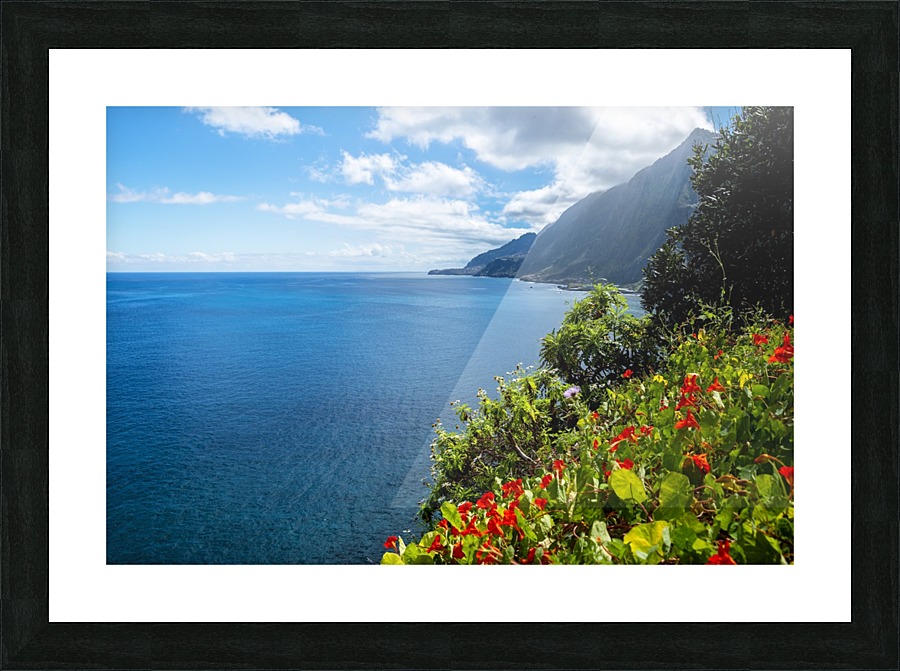 Vertical garden  Picture Frame print