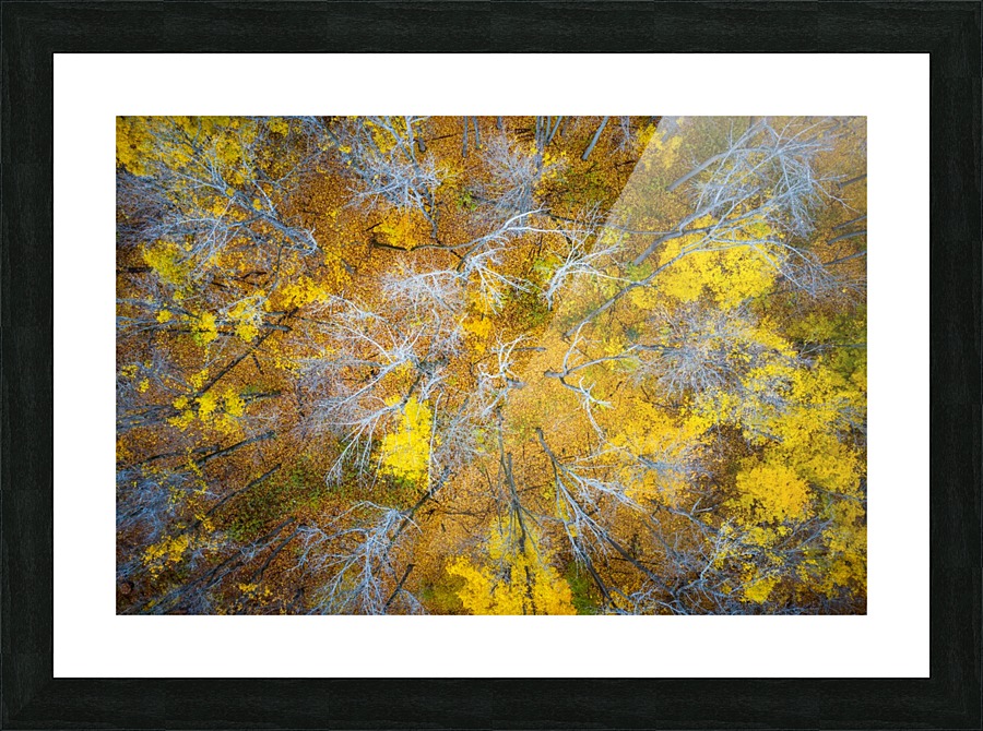 Fallen  Picture Frame print