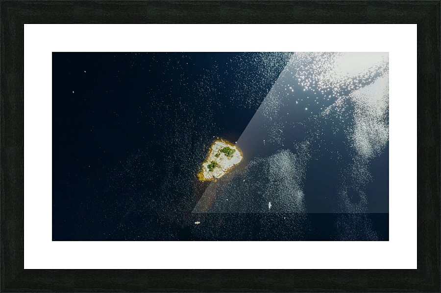 Bird island Picture Frame print