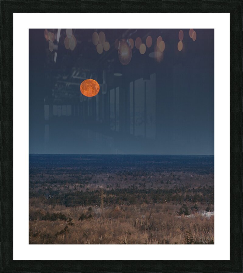  Fine Art print