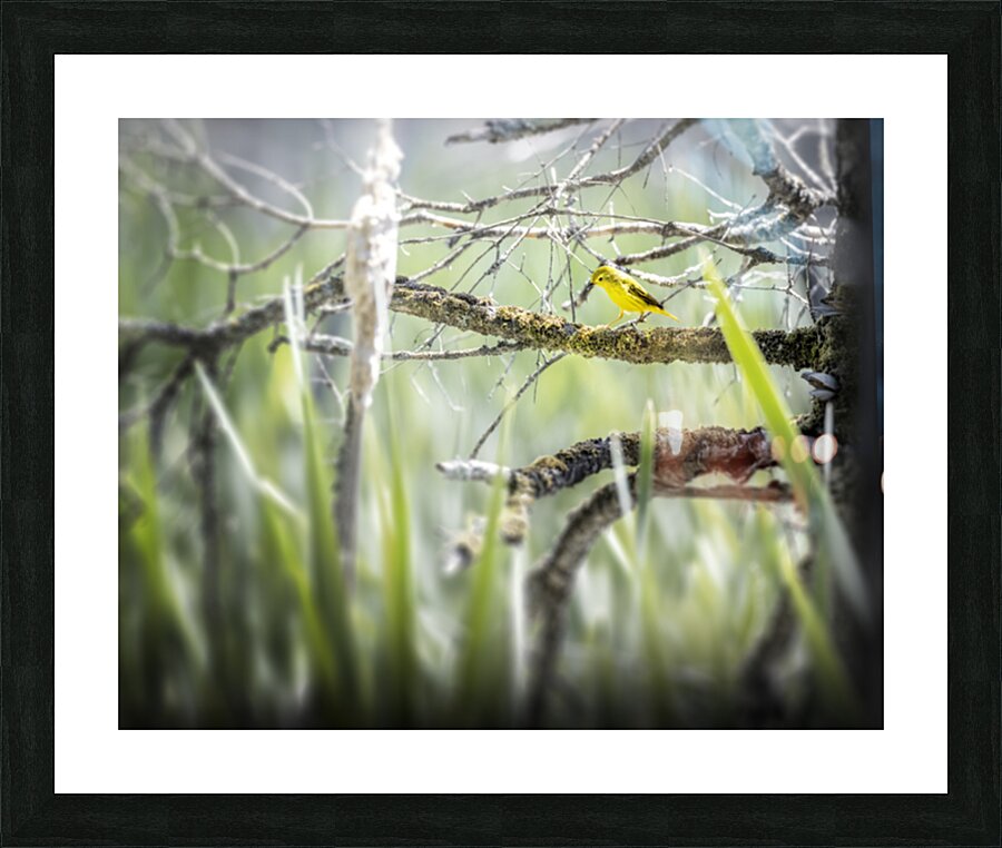 Little yellow monster Impression et Cadre photo