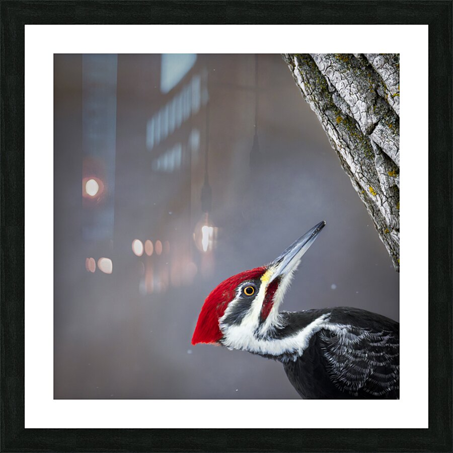  Fine Art print