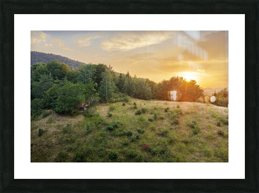  Fine Art print