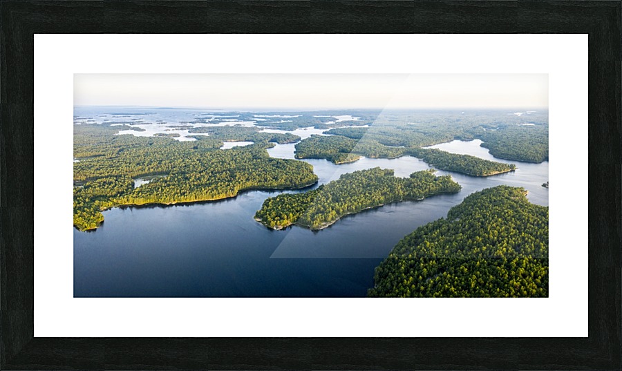Untamed wild  Picture Frame print