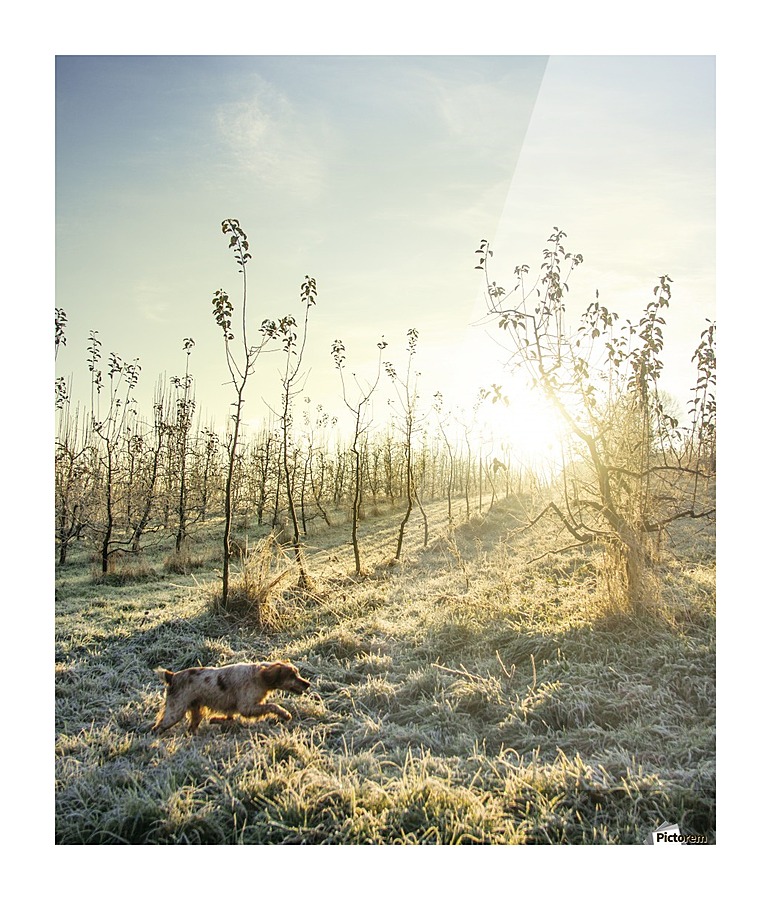 In search Picture Frame print