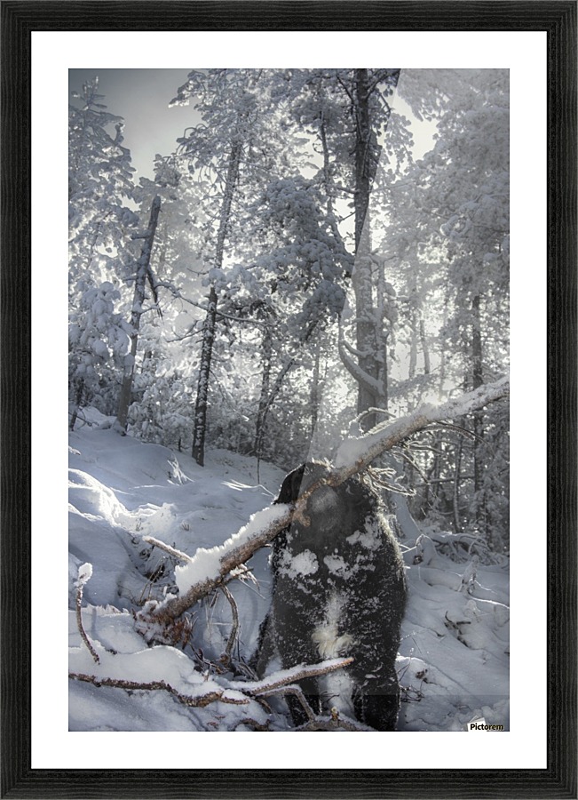 Angry World Picture Frame print