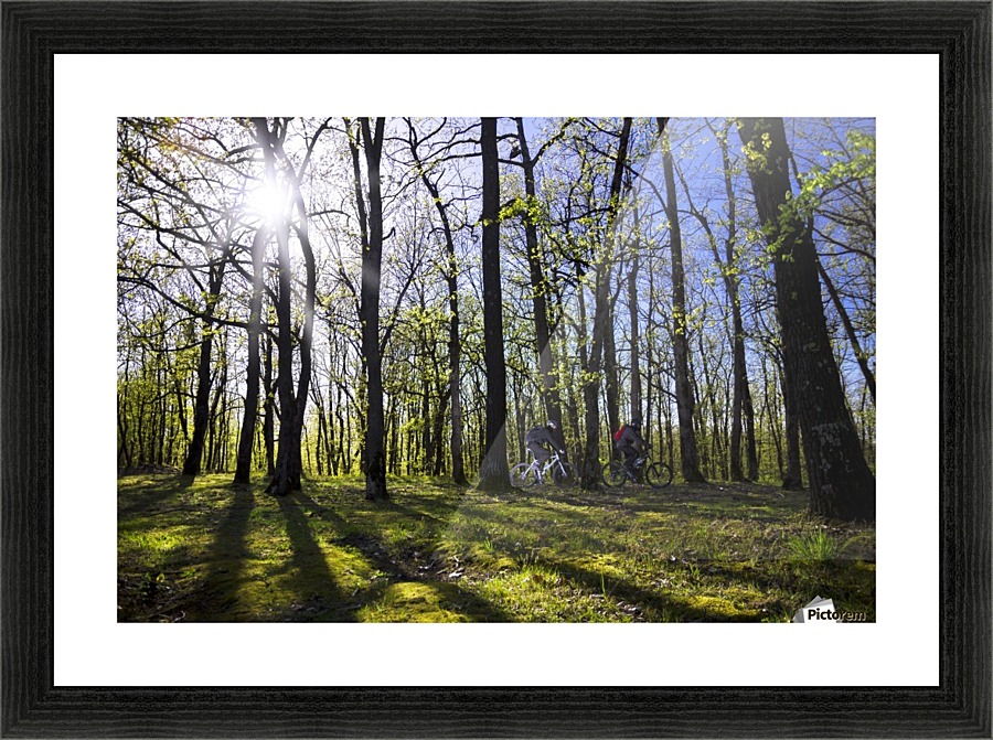 Idyllic ride Picture Frame print
