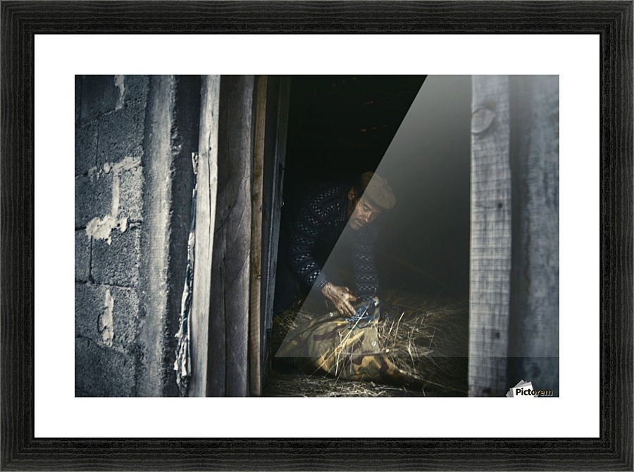 Animals are hungry  Picture Frame print