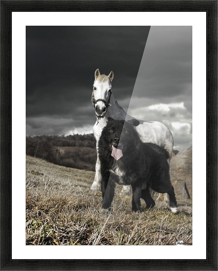 Black and white world Picture Frame print