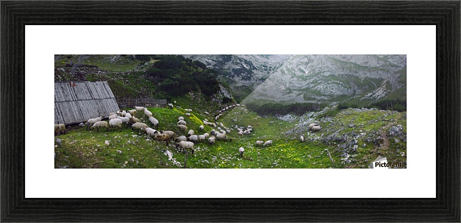Night is coming Picture Frame print