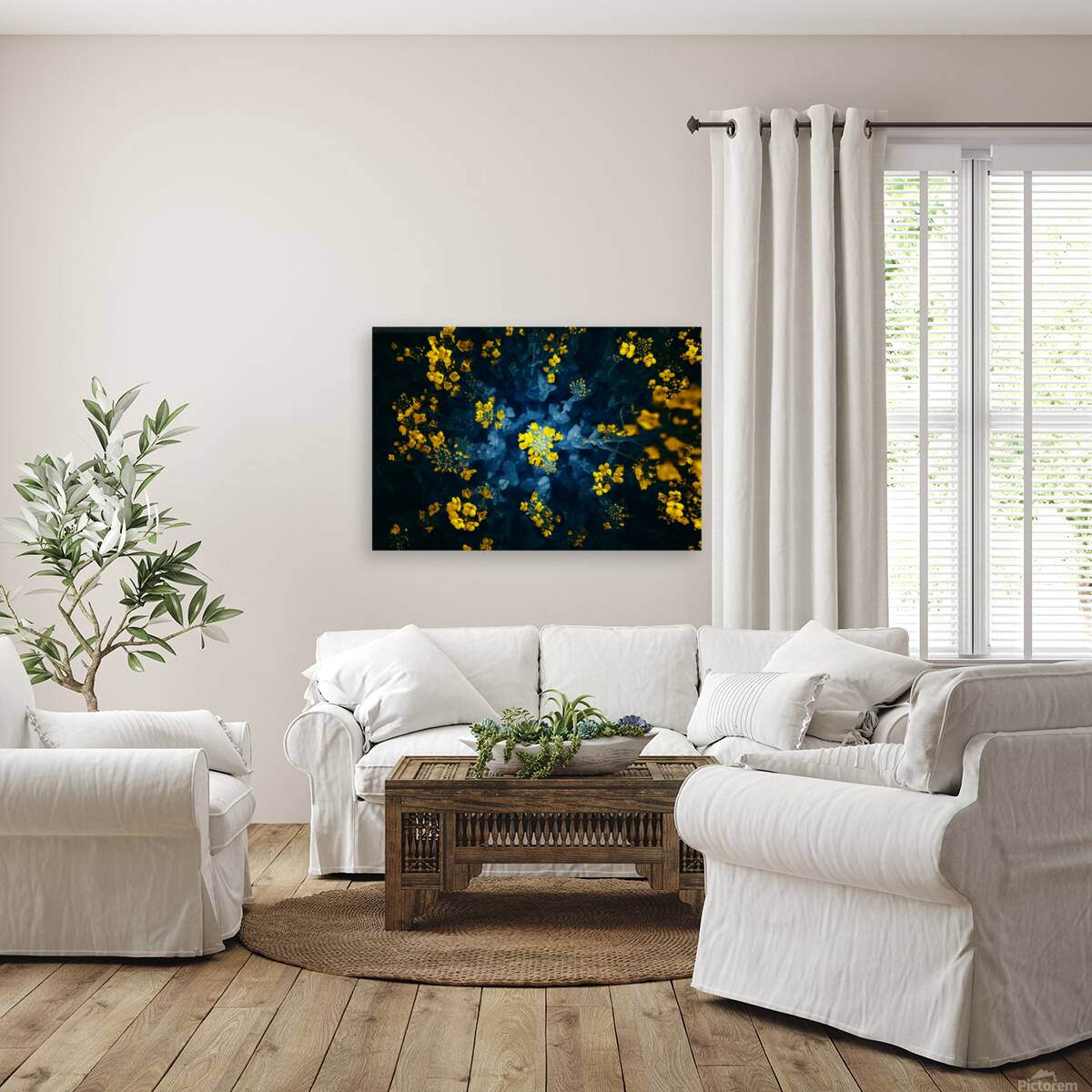 Spring buzz Reproduction