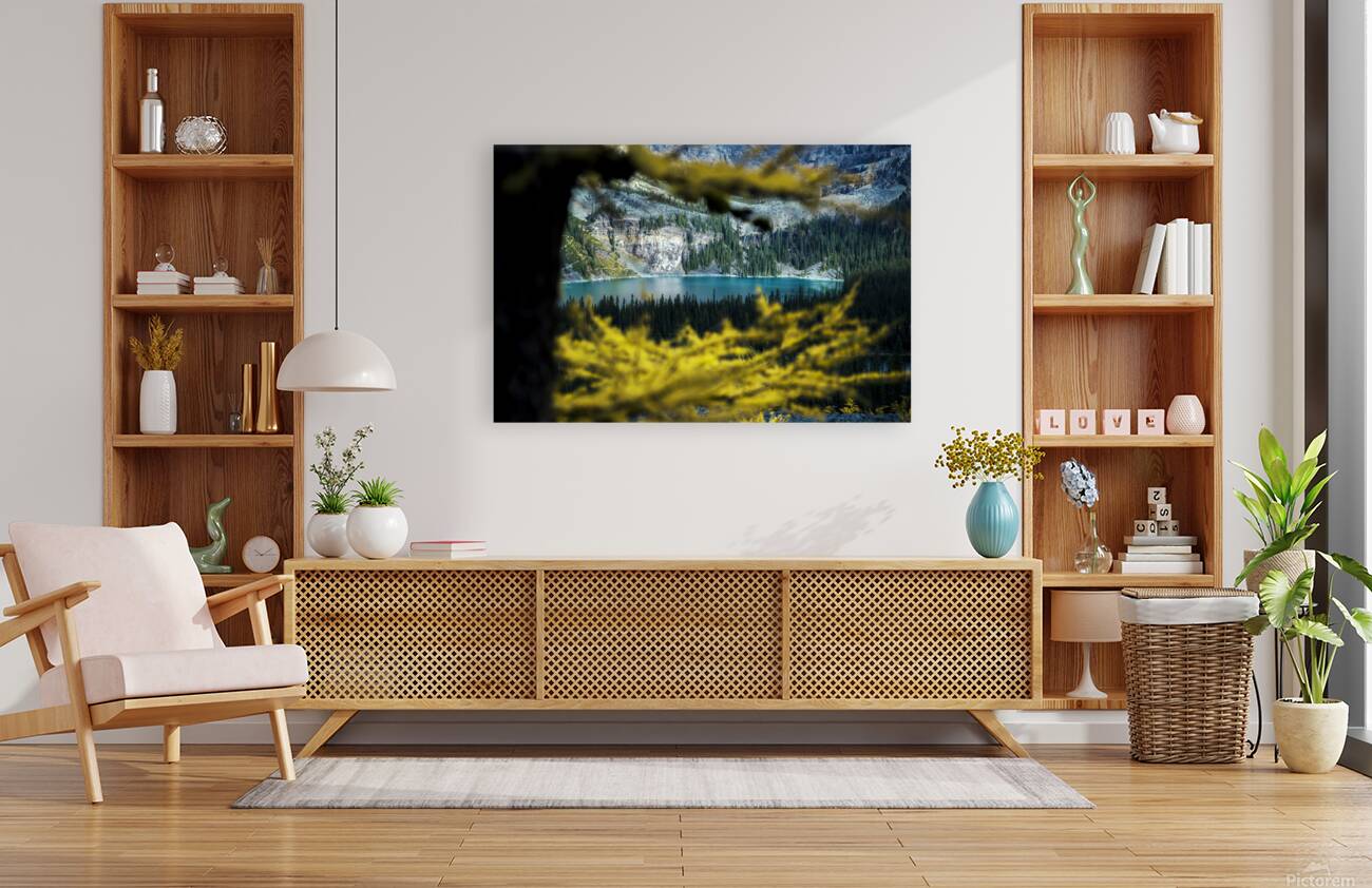 Place in nature Reproduction