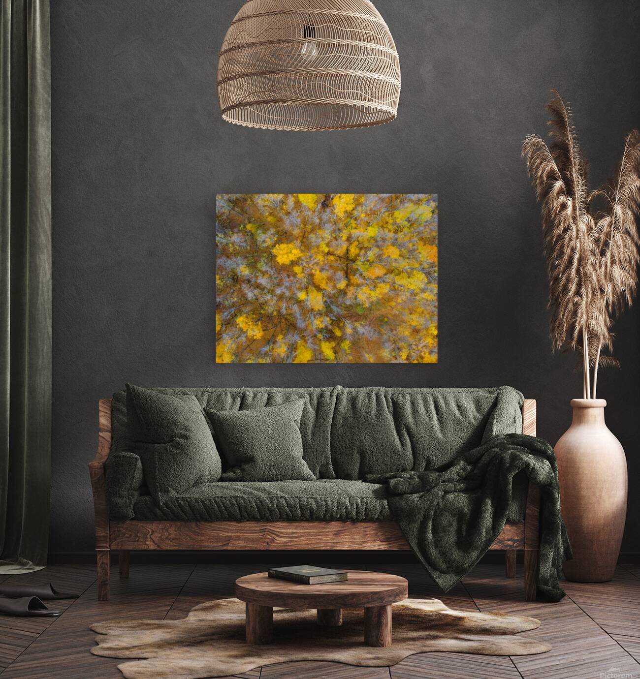  Colorful world Reproduction
