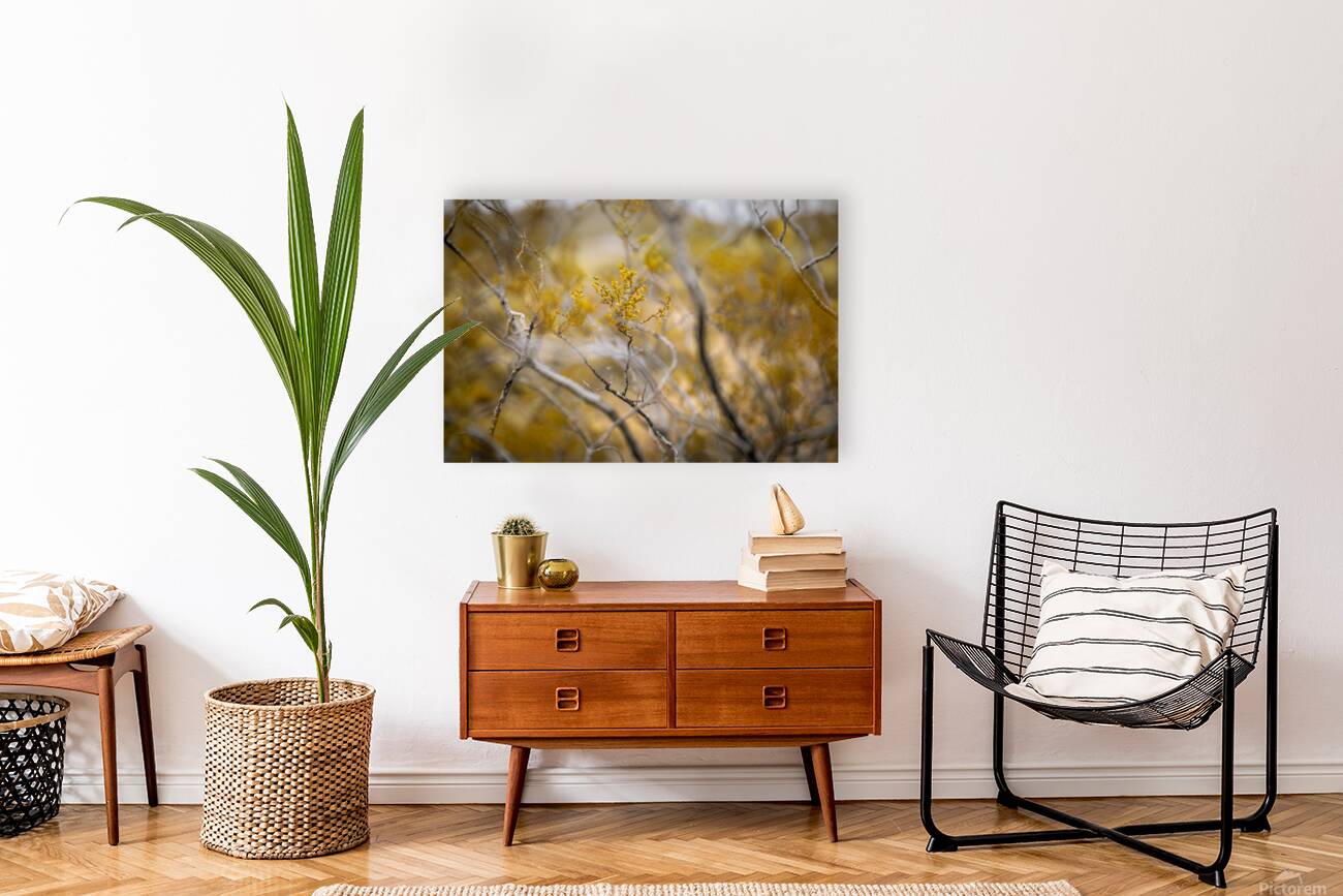 Desert rose Reproduction