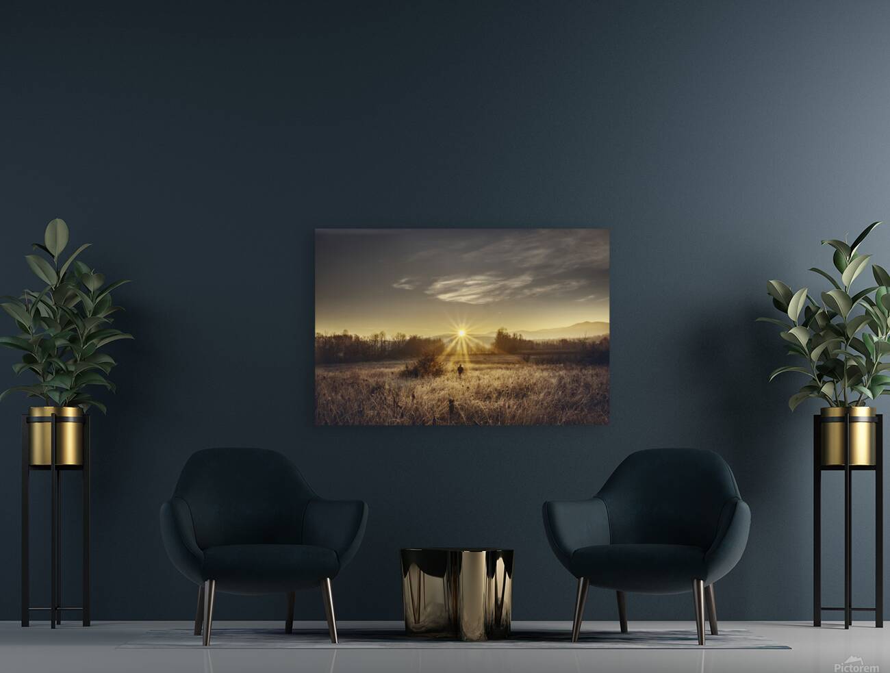 Zen morning Reproduction